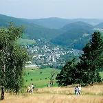 Edelweiss 'bergzeit' De Luxe Mit Hotelanbindung, Saunalandschaft Und Meinecardplus Appartement *