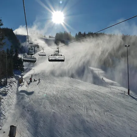 Edelweiss 'bergzeit' De Luxe Inkl Wellness-spa Und Meinecardplus Lägenhet Willingen (Upland)