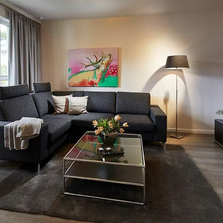 Apartman Edelweiss 'bergzeit' De Luxe Inkl Wellness-spa Und Meinecardplus Willingen