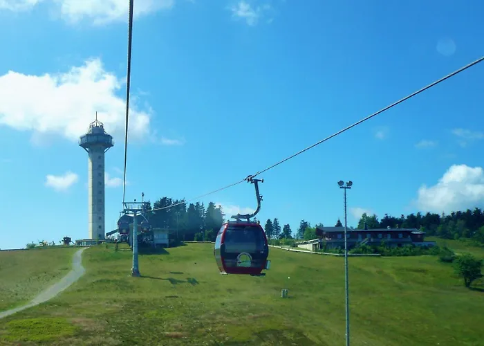 Edelweiss 'bergzeit' De Luxe Inkl Wellness-spa Und Meinecardplus * Willingen (Upland)