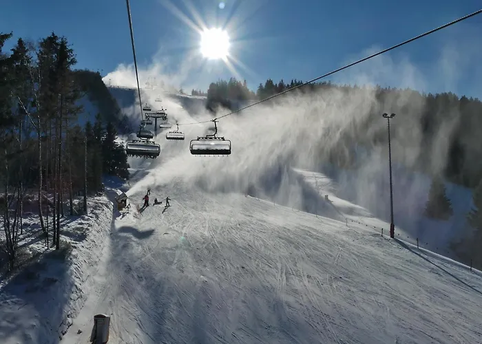 Edelweiss 'bergzeit' De Luxe Inkl Wellness-spa Und Meinecardplus Appartement Willingen (Upland)