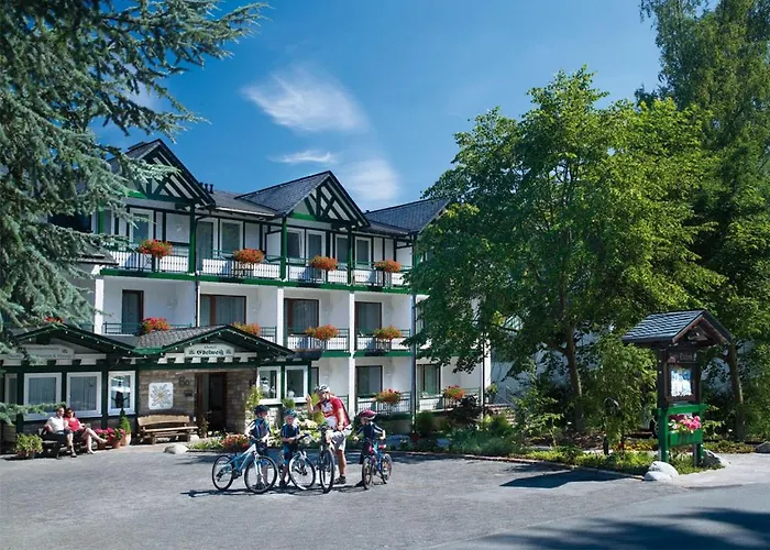 Edelweiss 'bergzeit' De Luxe Inkl Wellness-spa Und Meinecardplus * Willingen (Upland)